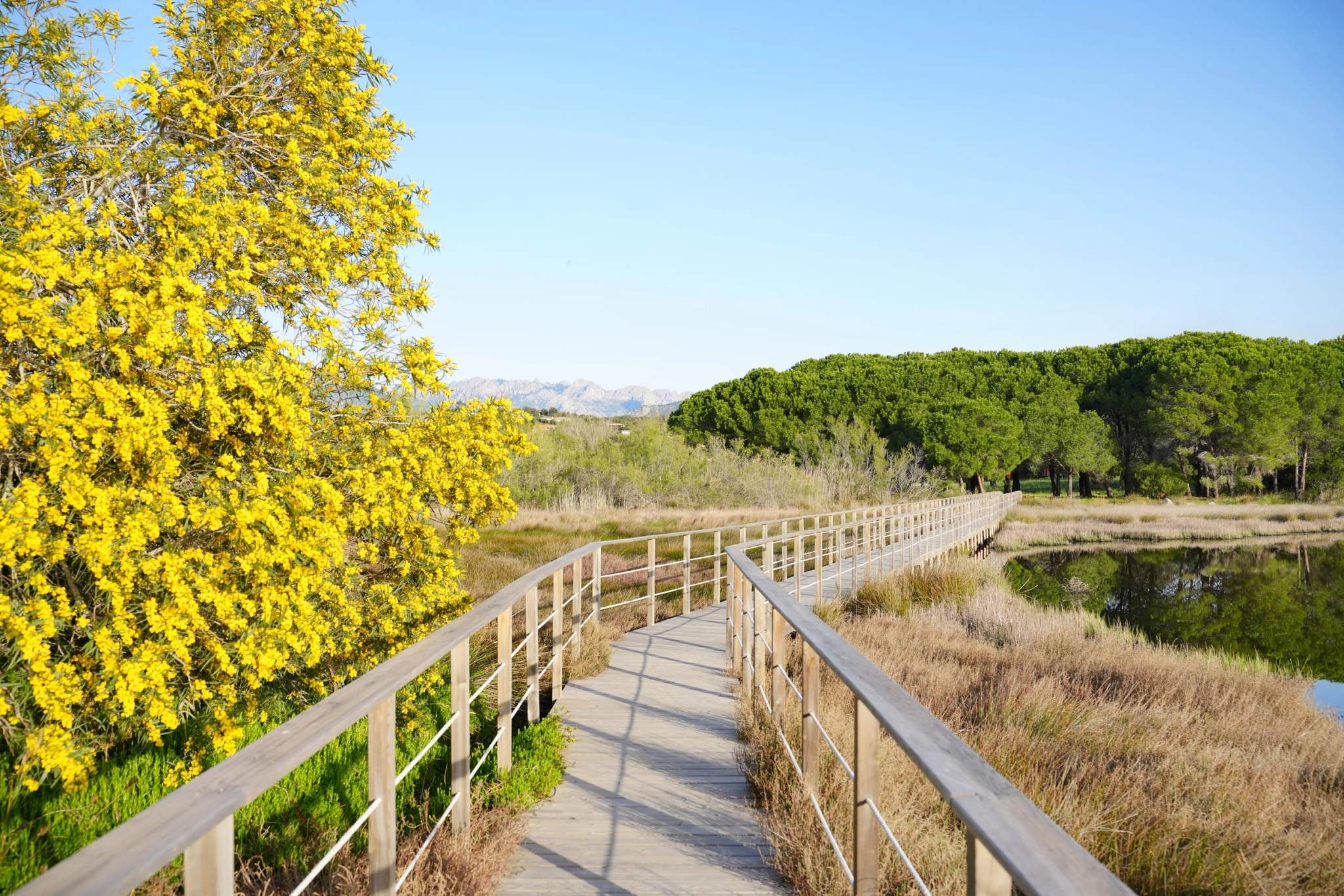 Le chemin pour accéder directement à la plage